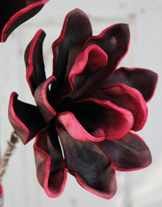 7919 490 a3 Искусственный мягкий цветок 'эхеверия', 95 см, красно-черный H-andreas