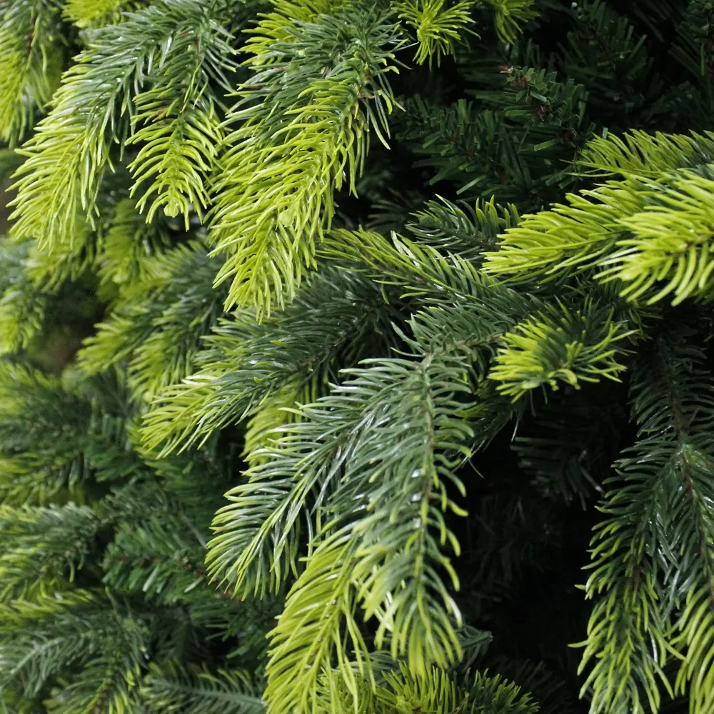 Ель новогодняя искусственная «Орион» 240 см BEATREES STLM-2112077 - Вид №1