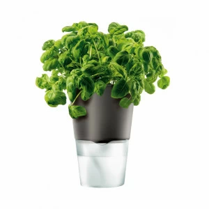 EVA SOLO 568104 Горшок для растений с функцией самополива, 11 см, серый Фарфор, стекло, пластик, нейлон