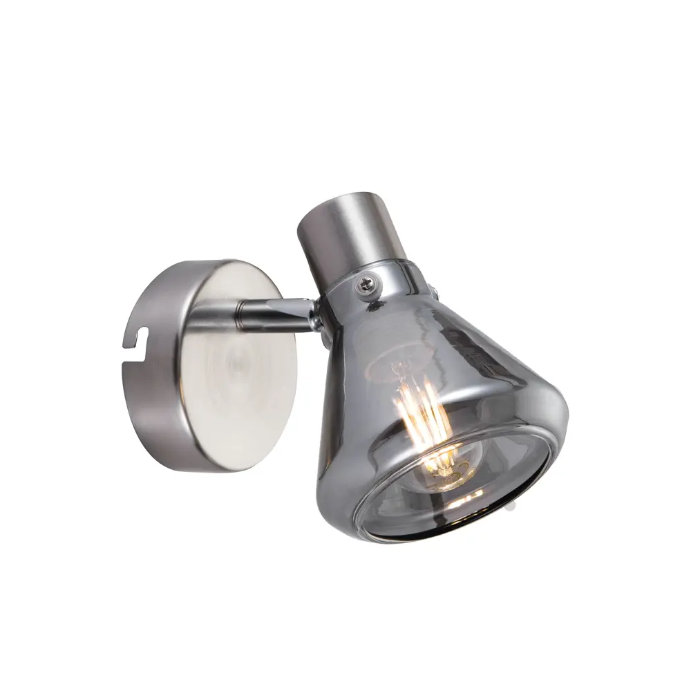 Спот поворотный Nebbia, 1 лампа, 3 м², цвет серебристый Rivoli STLM-2016192