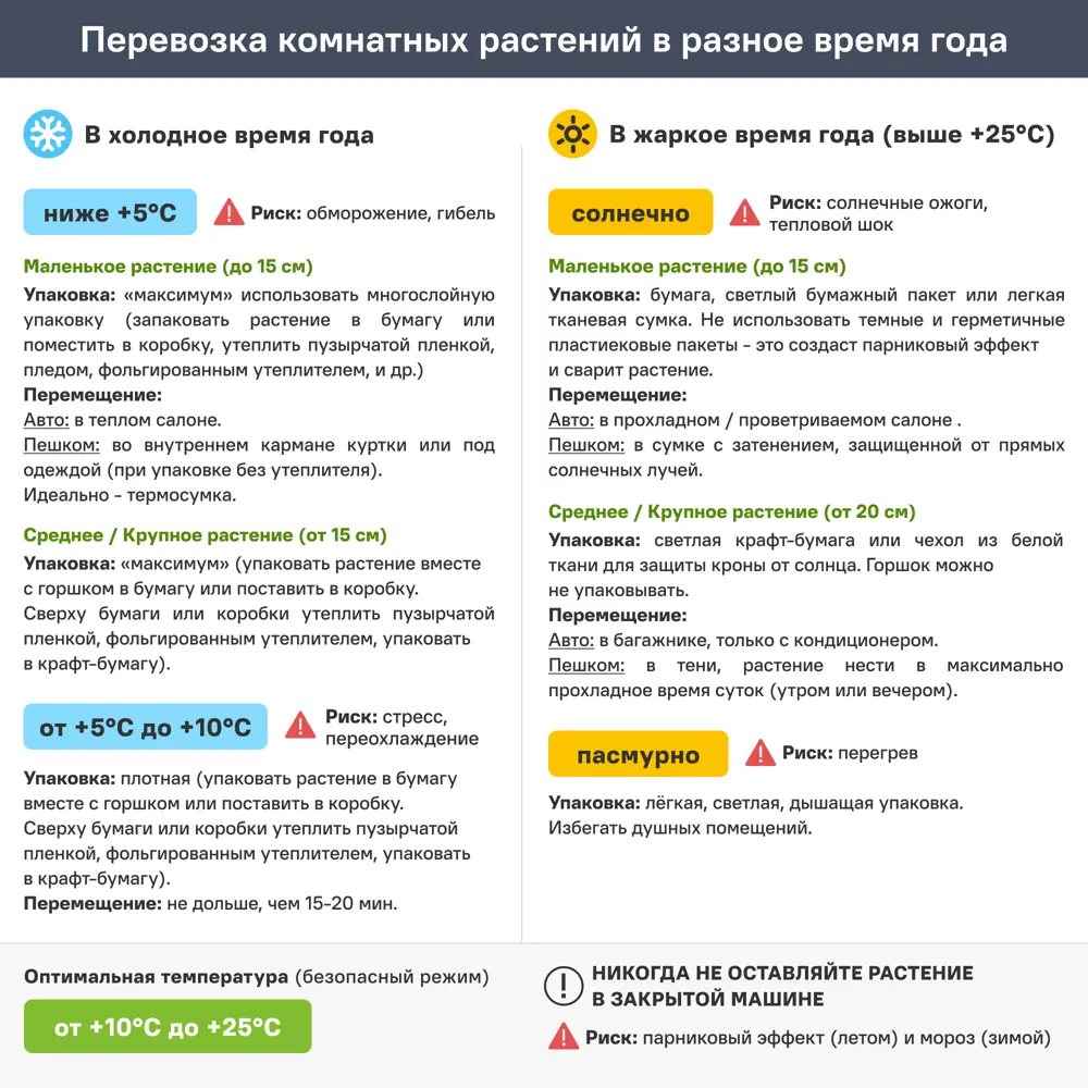 Туя, микс, 15-20x10 см, P9 ГАВРИШ STLM-2205716 - Вид №1