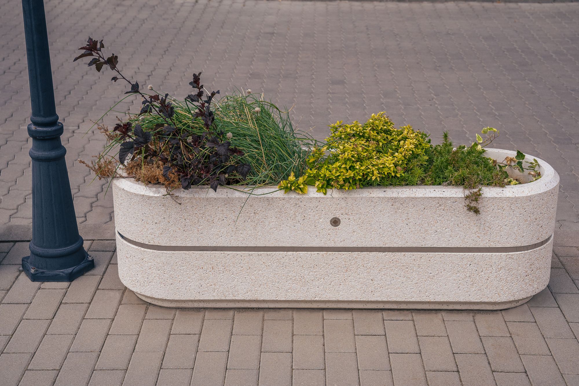 Бетонная плантатор ENCHO ENCHEV - ETE 27 ARCH-00057857 - Вид №8