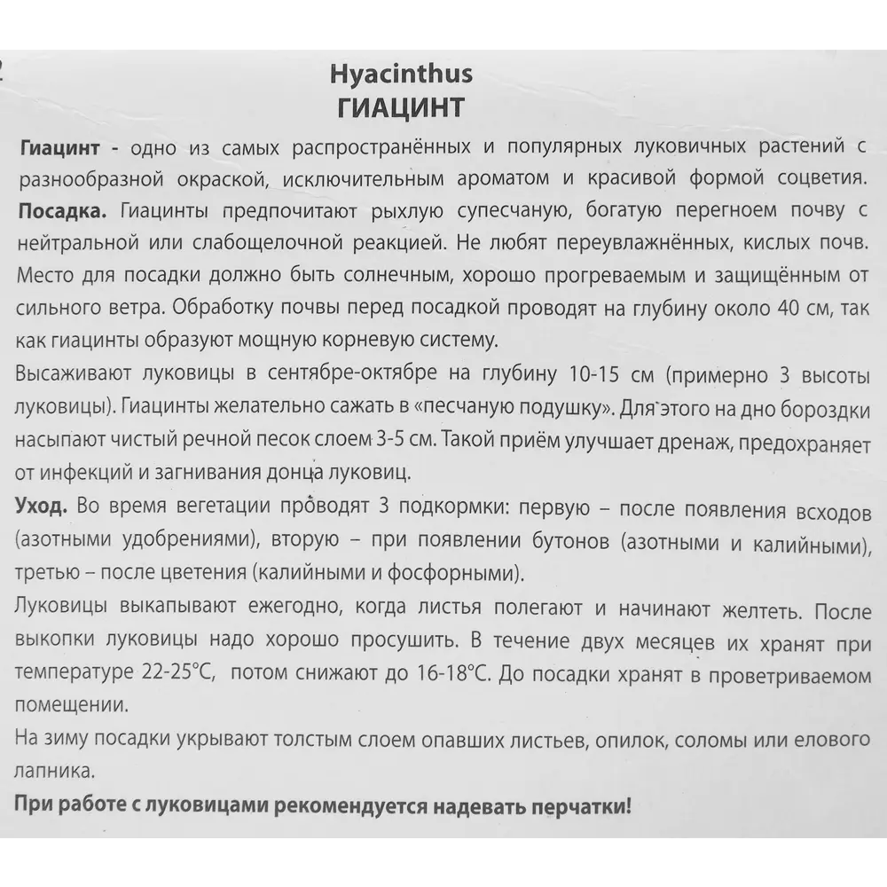 Гиацинт садовый Мах Дабл Эрос, 3 шт 85205017 STLM-2027408 ПОИСК  - Вид №2