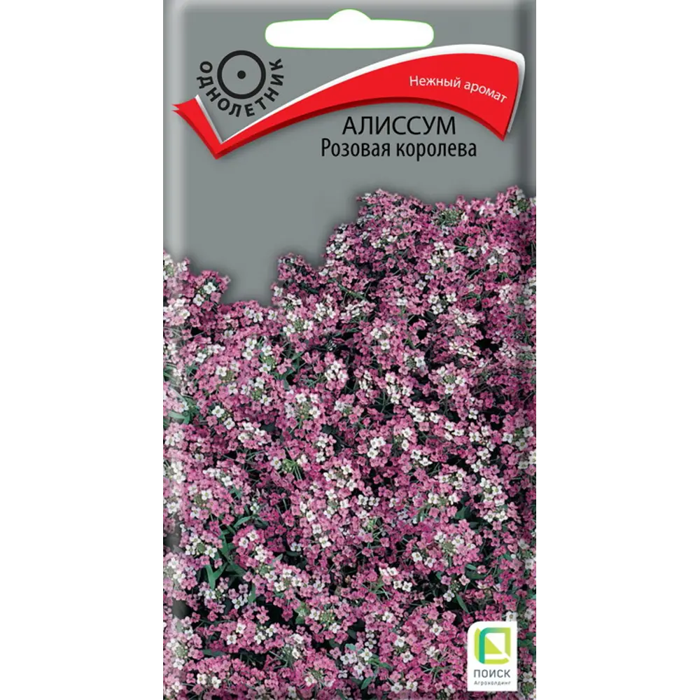 ПОИСК Алиссум Розовая Королева - нежный ковер для сада 89401245 STLM-1571854