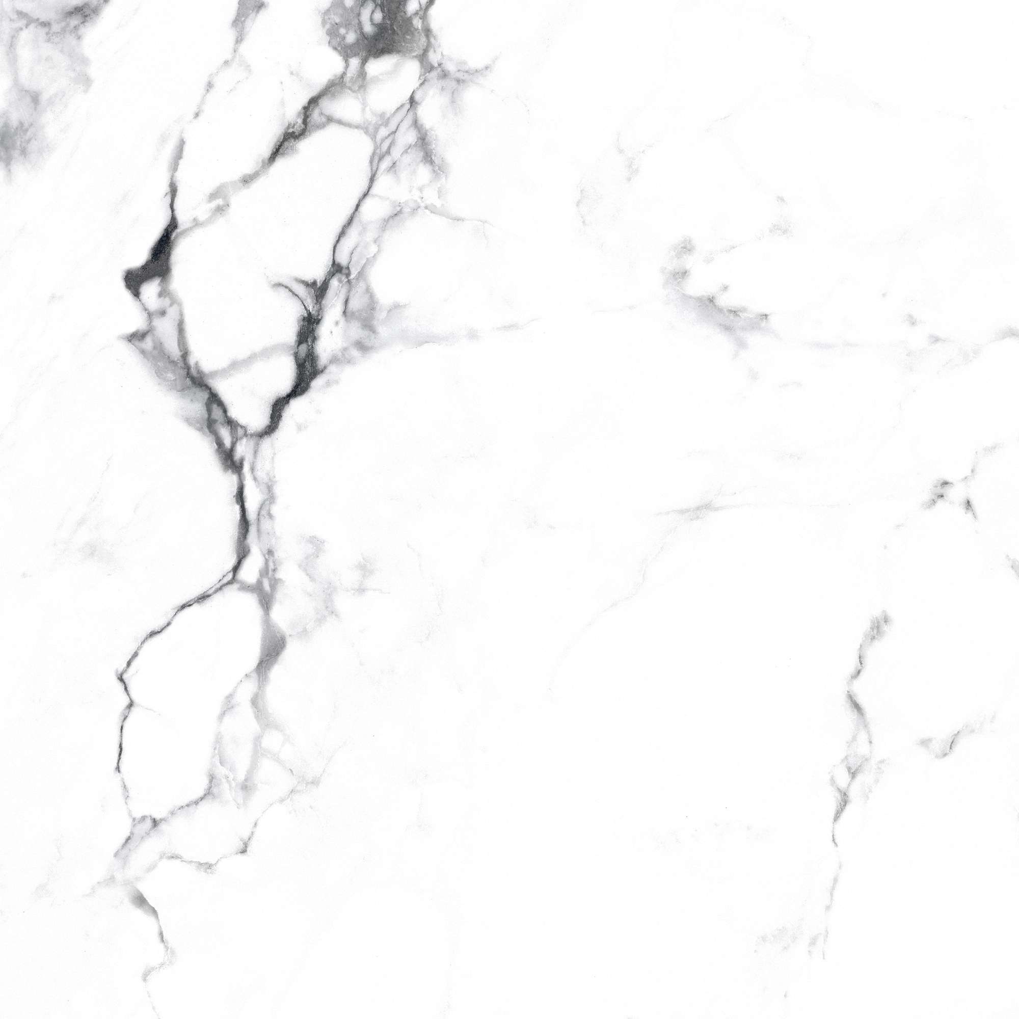 Керамогранит BORGHINI SILVER 60х60 Arcadia Ceramica CR4006-A STLM-2206816 89396428 Carving - Вид №16