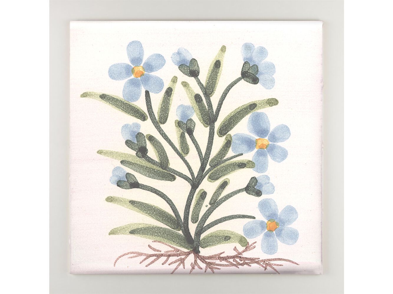 Пол / покрытие ручной работы La Riggiola традиция ARCH-00008047