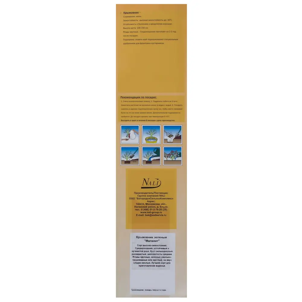 Крыжовник зеленый Малахит (пакет) Santreyd STLM-2127079 - Вид №1