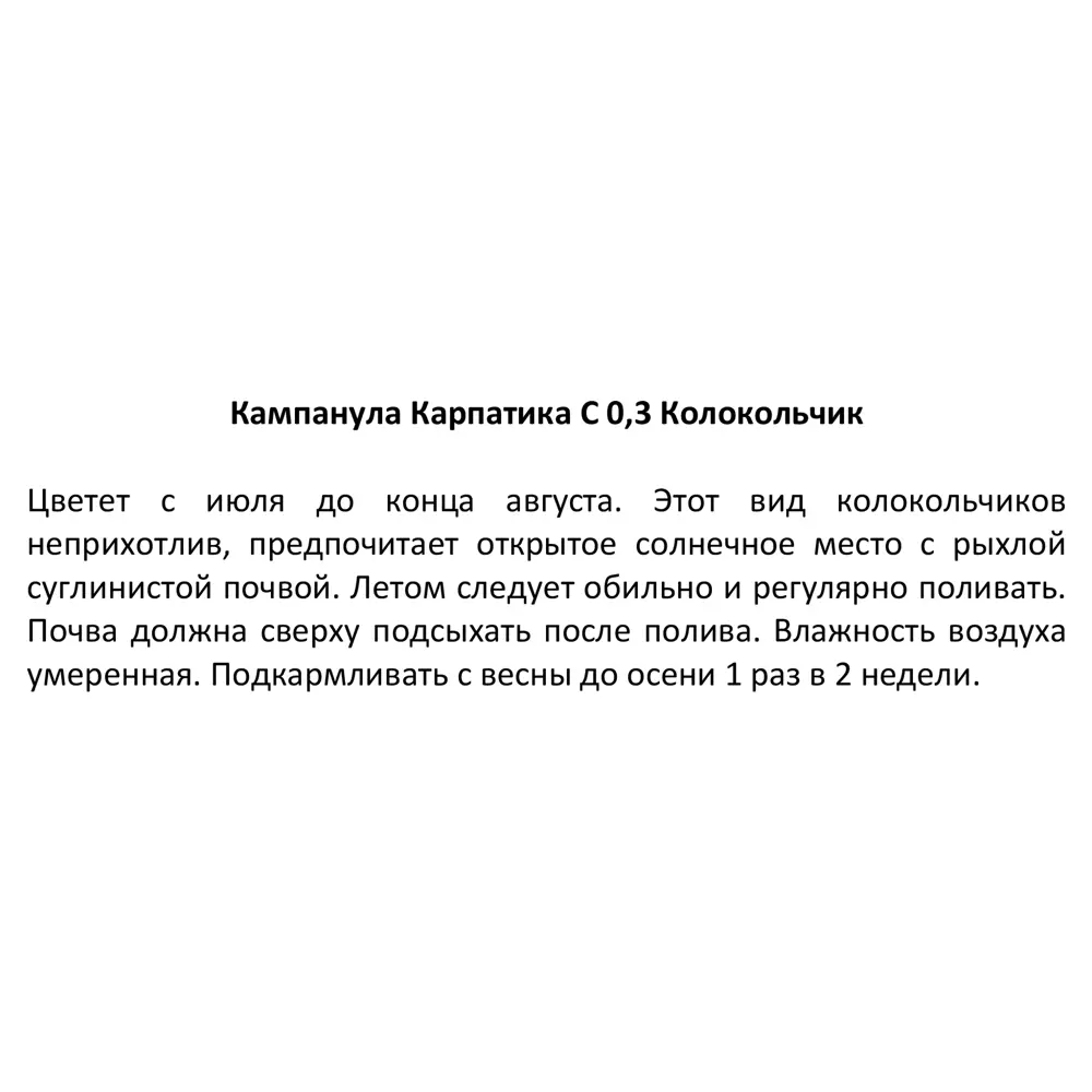 Колокольчик Карпатский h15 см 84845142 STLM-2085937 Santreyd  - Вид №2
