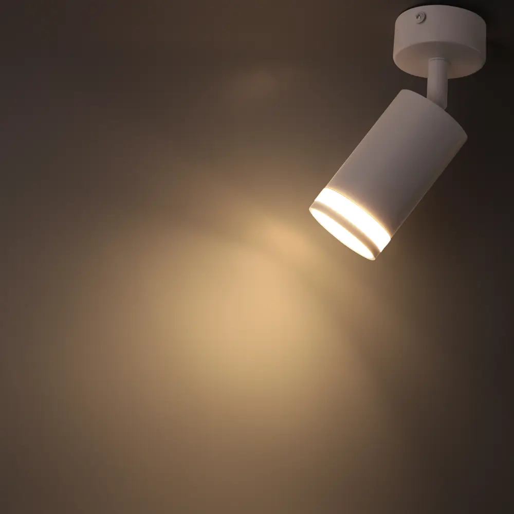 Поворотный спот Ritter Arton 59970 для точечного освещения интерьера 83978837 STLM-0045690 - Вид №1