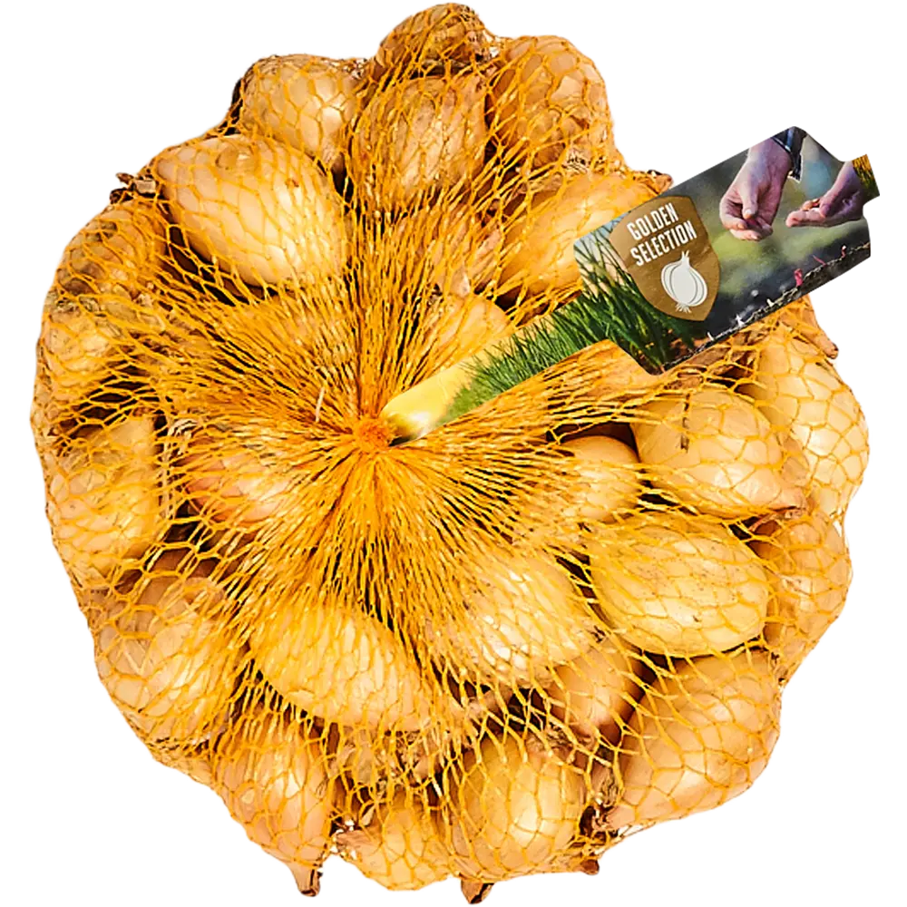 Лук-севок Шекспир (Озимый лук) 450 г ПРЕСТИЖ СЕМЕНА STLM-2034776