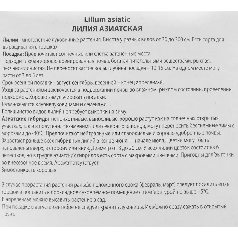 Лилия азиатская Полианна 85205808 STLM-2198352 ПОИСК  - Вид №2