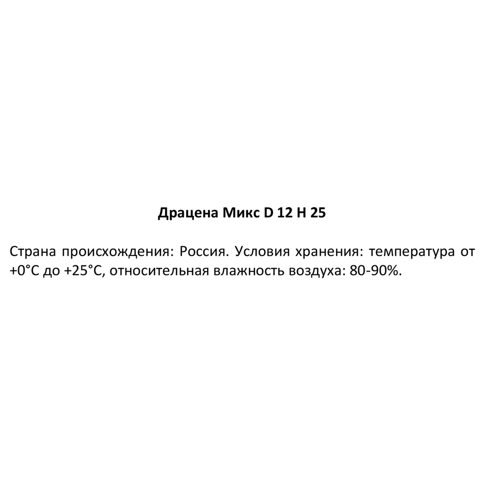 Santreyd Драцена - дерево счастья для вашего интерьера 87959807 STLM-0952346 - Вид №3