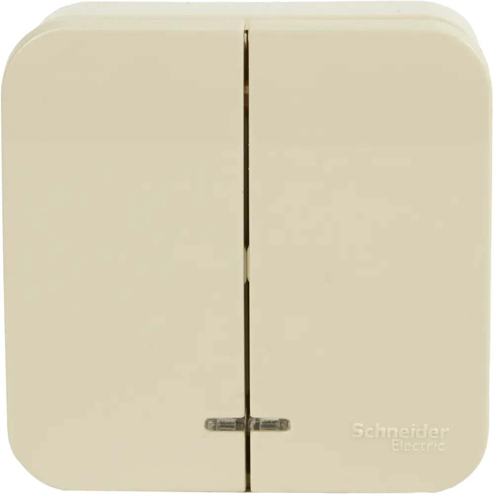 Выключатель накладной Schneider Electric Blanca 2 клавиши цвет бежевый 86724540 STLM-2152007 SYSTEME ELECTRIC - Вид №1