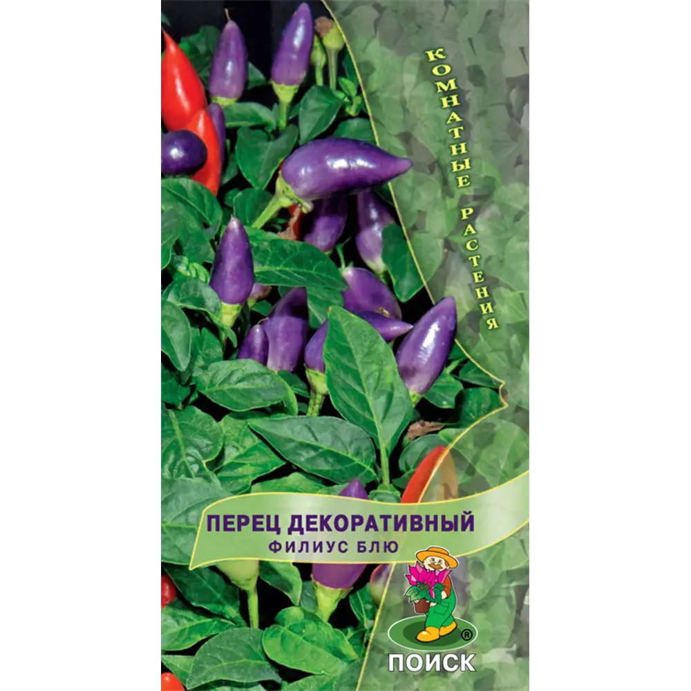 Семена Перец декоративный «Филиус Блю» 82984201 STLM-2093144 ПОИСК 