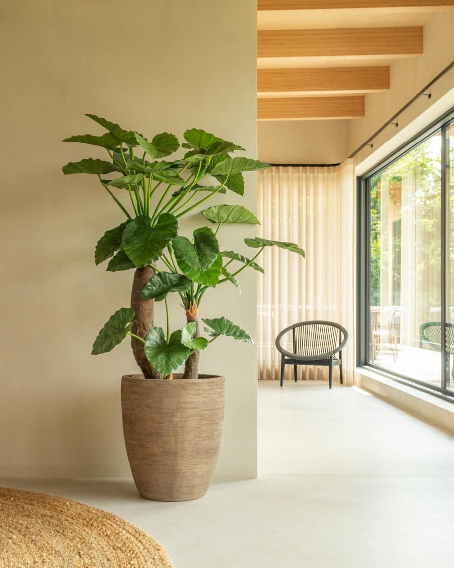 Круглый глиняный садовый горшок Vincent sheppard SAYA ARCH-00149835 - Вид №3