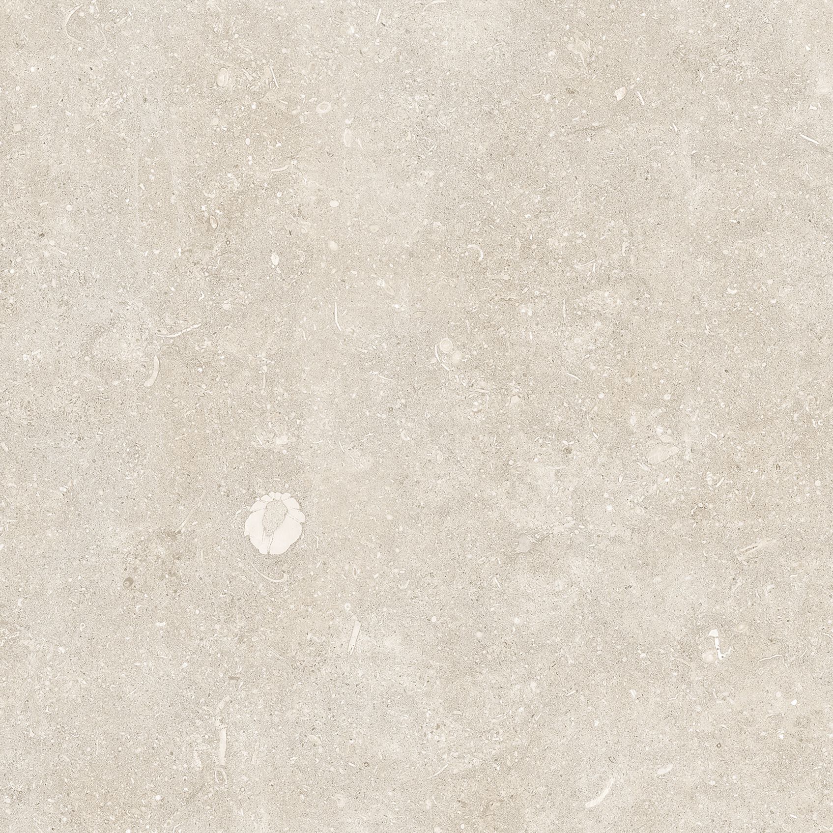 Экологичный пол/облицовка керамогранита Living Ceramics ODA ARCH-00129665 - Вид №5