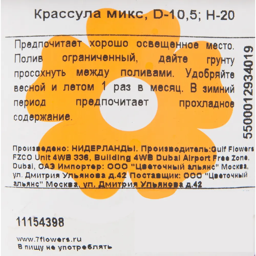 Крассула Mix 10х20 см 11154398 STLM-2201776 Santreyd  - Вид №3