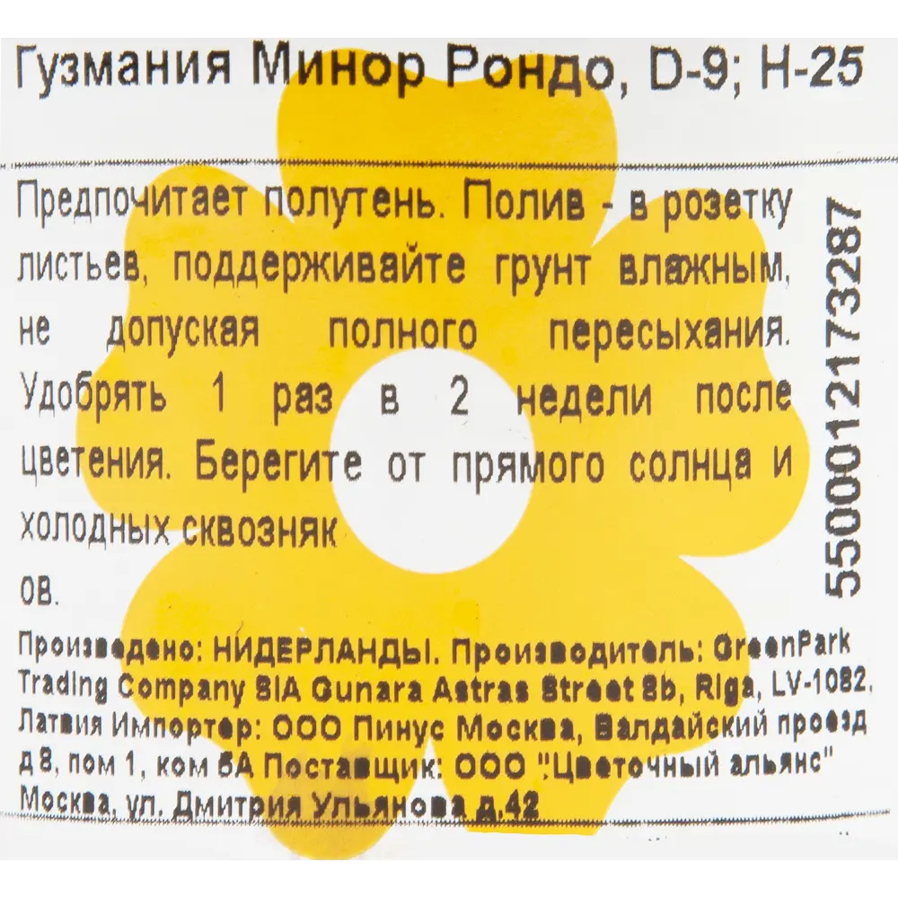 Гузмания Минор Рондо 9х25 см 10970772 STLM-2189802 Santreyd  - Вид №3