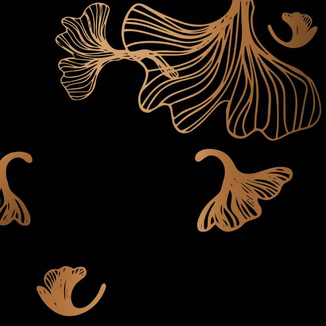 Стеновые панели - Виллафранка голд LIGRON LIST156 1753 - Вид №9