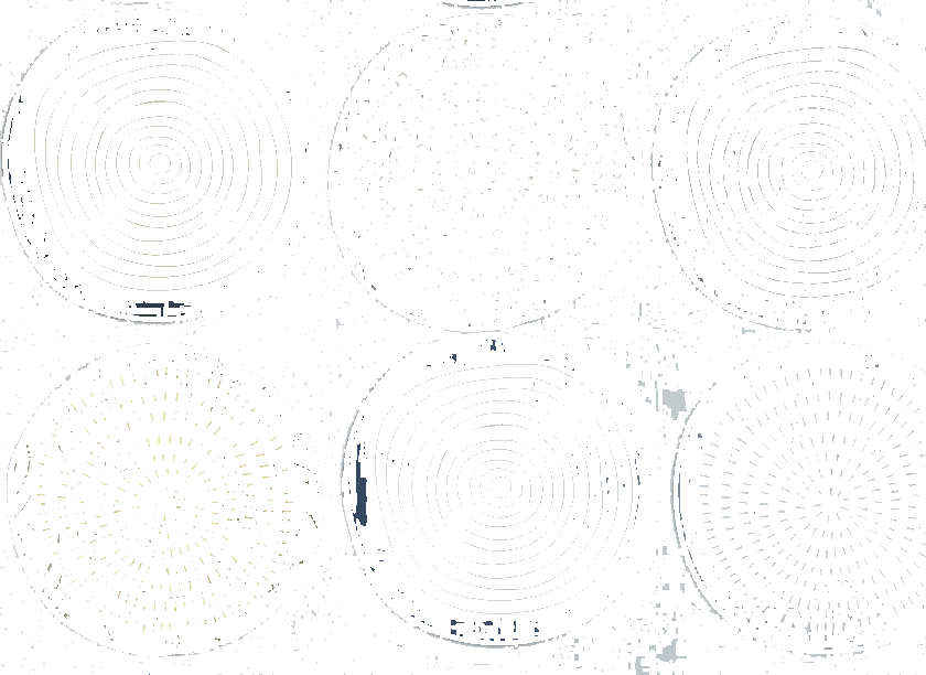 WALLYART Огнестойкие моющиеся флизелиновые обои с рисунком Lacollezione 0109  - Вид №2