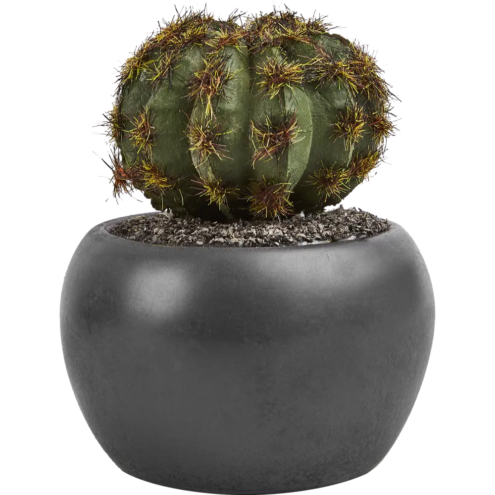 Искусственное растение в пластиковом горшке Atmosphera Кактус D6.3x11.5 см микс STLM-2119665 - Вид №2