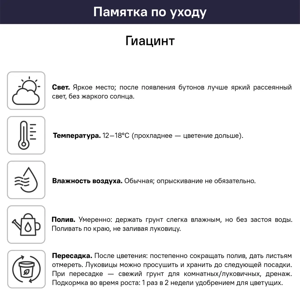 Гиацинт ø7 h15 см 89455285 STLM-2207042 Santreyd  - Вид №3