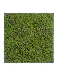 20.0820411L Мох Сфагнум Fuscum зелёный (полотно большое) Цветочная коллекция