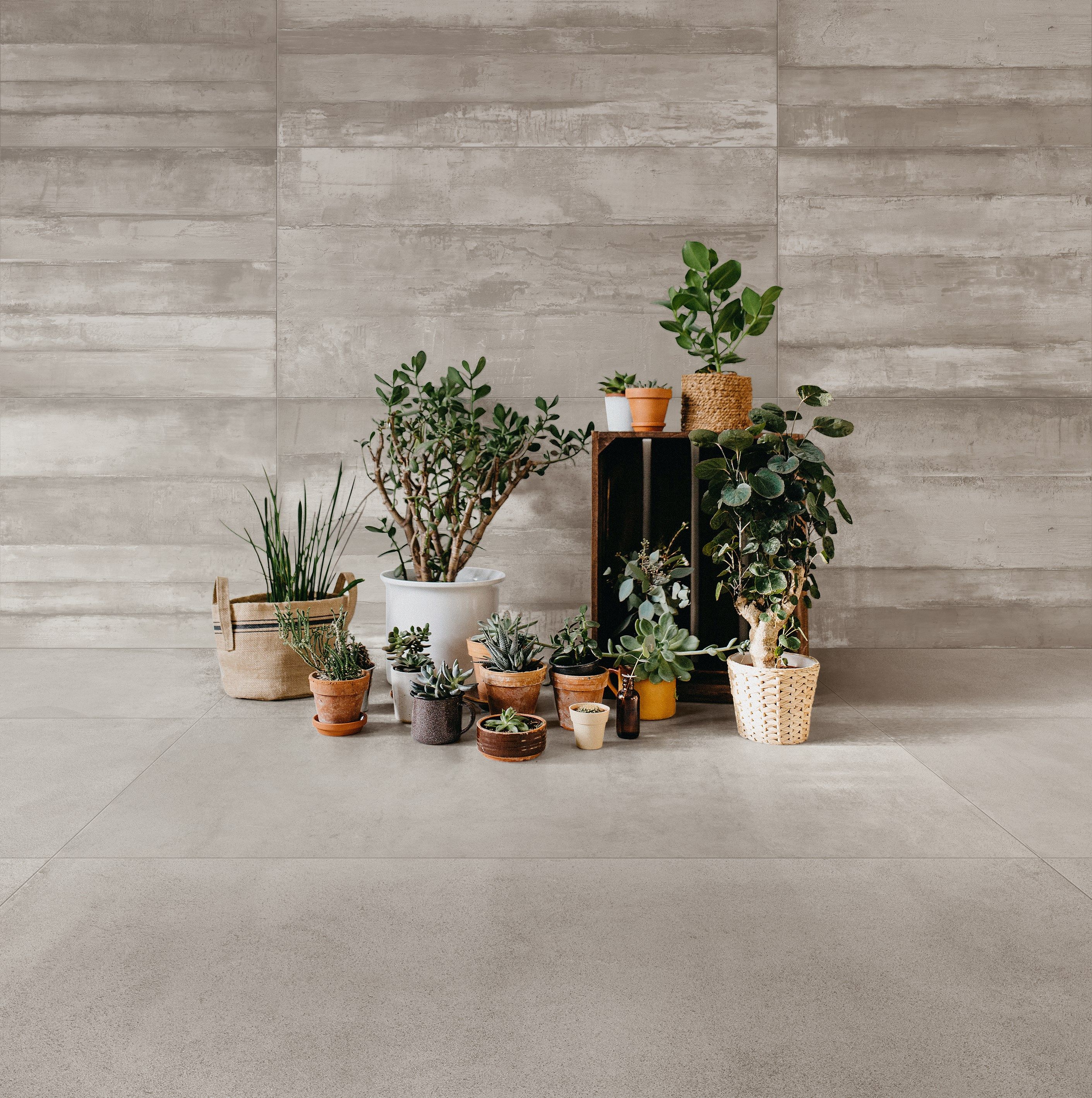 Пол / облицовка керамогранита для внутреннего и наружного применения с эффектом цемента Leonardo MOON ARCH-00013355 - Вид №1