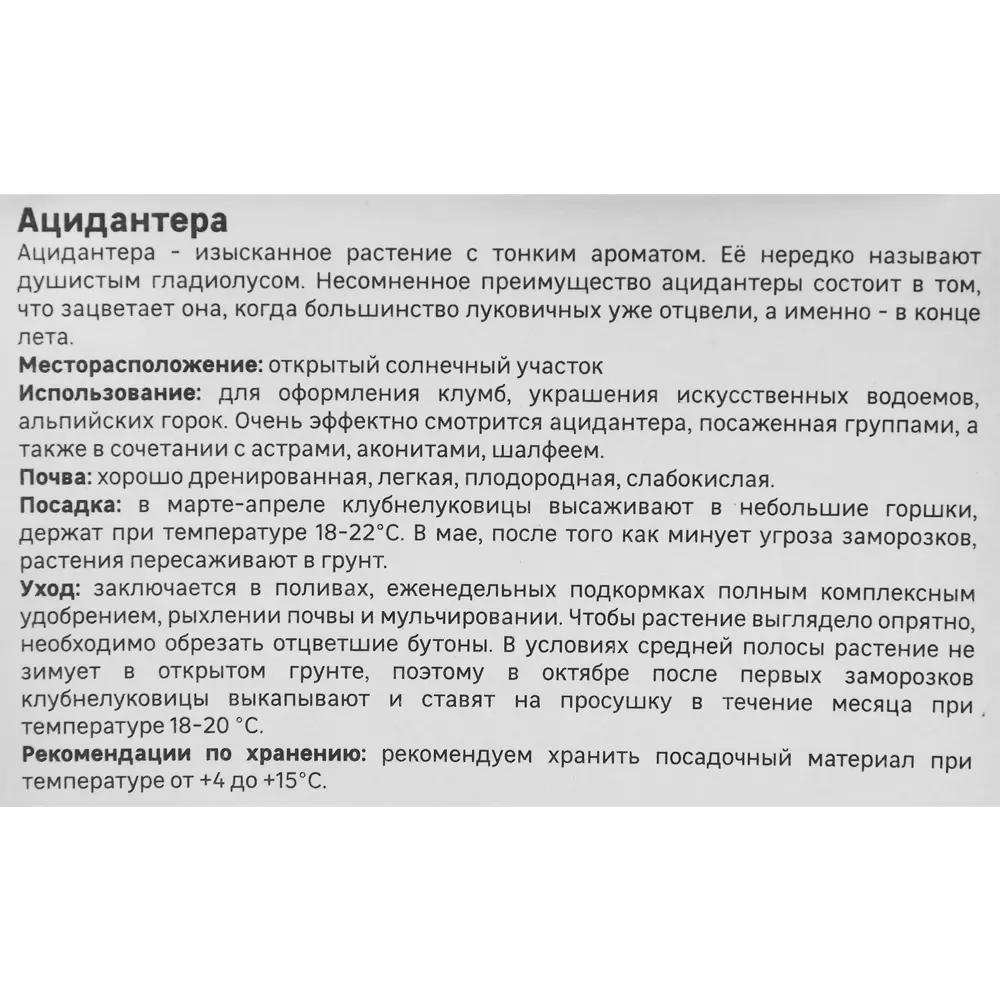 Ацидантера Geolia двухцветная Вайт 5 шт STLM-2181949 - Вид №3