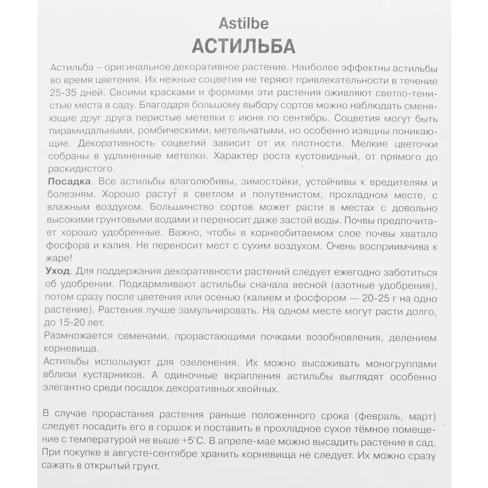 Астильба японская «Кобленц», размер луковицы I Santreyd STLM-2087331 - Вид №2