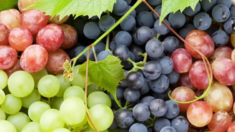 Хранение винограда в домашних условиях