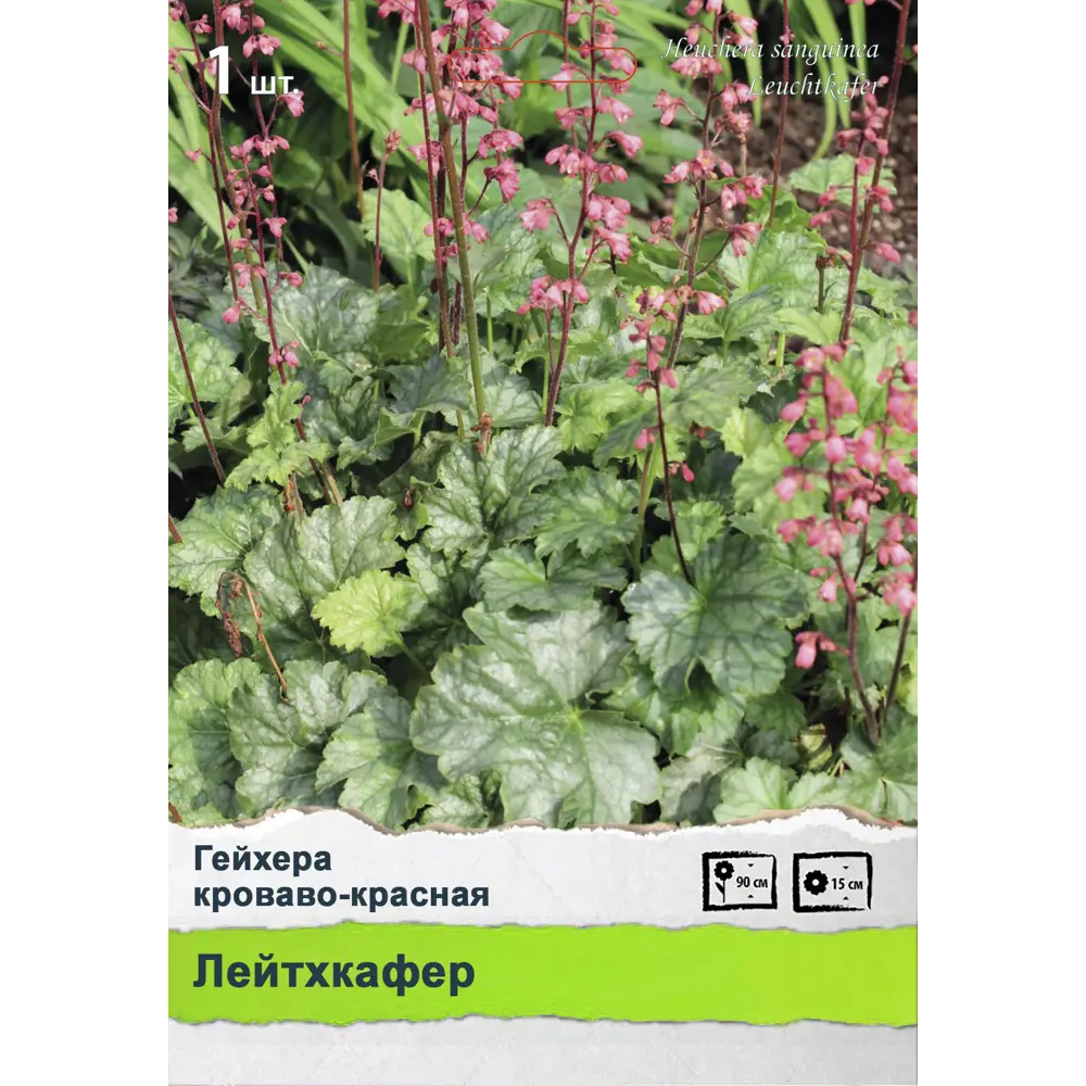 Многолетники Промо ПОИСК STLM-2046450 - Вид №1