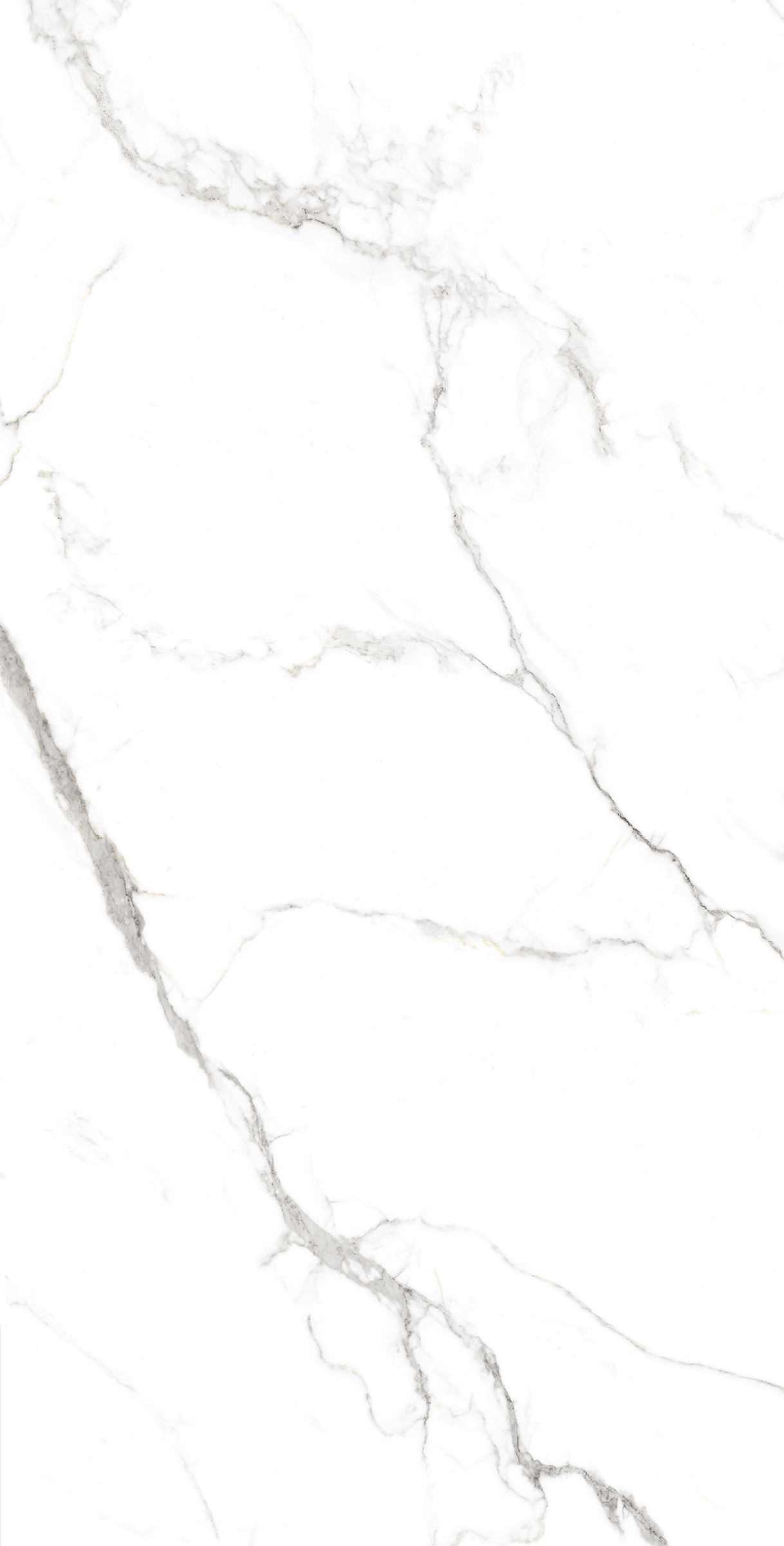 Керамогранит STATUARIO FINE 60х120 Arcadia Ceramica FP1039-A - Вид №6