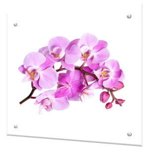 90679355 Стеновая панель Орхидея 60x50x0.4 см закаленное стекло цвет прозрачный STLM-0335375 BORNTOPRINT