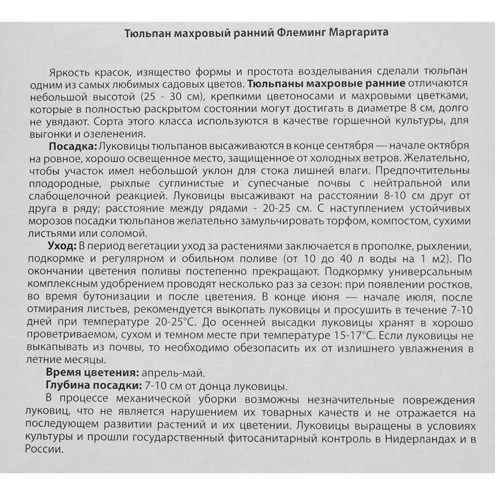 Тюльпан «Флеминг Маргарита» размер луковицы 12, 5 шт BLOOMING LIFE STLM-2070974 - Вид №2