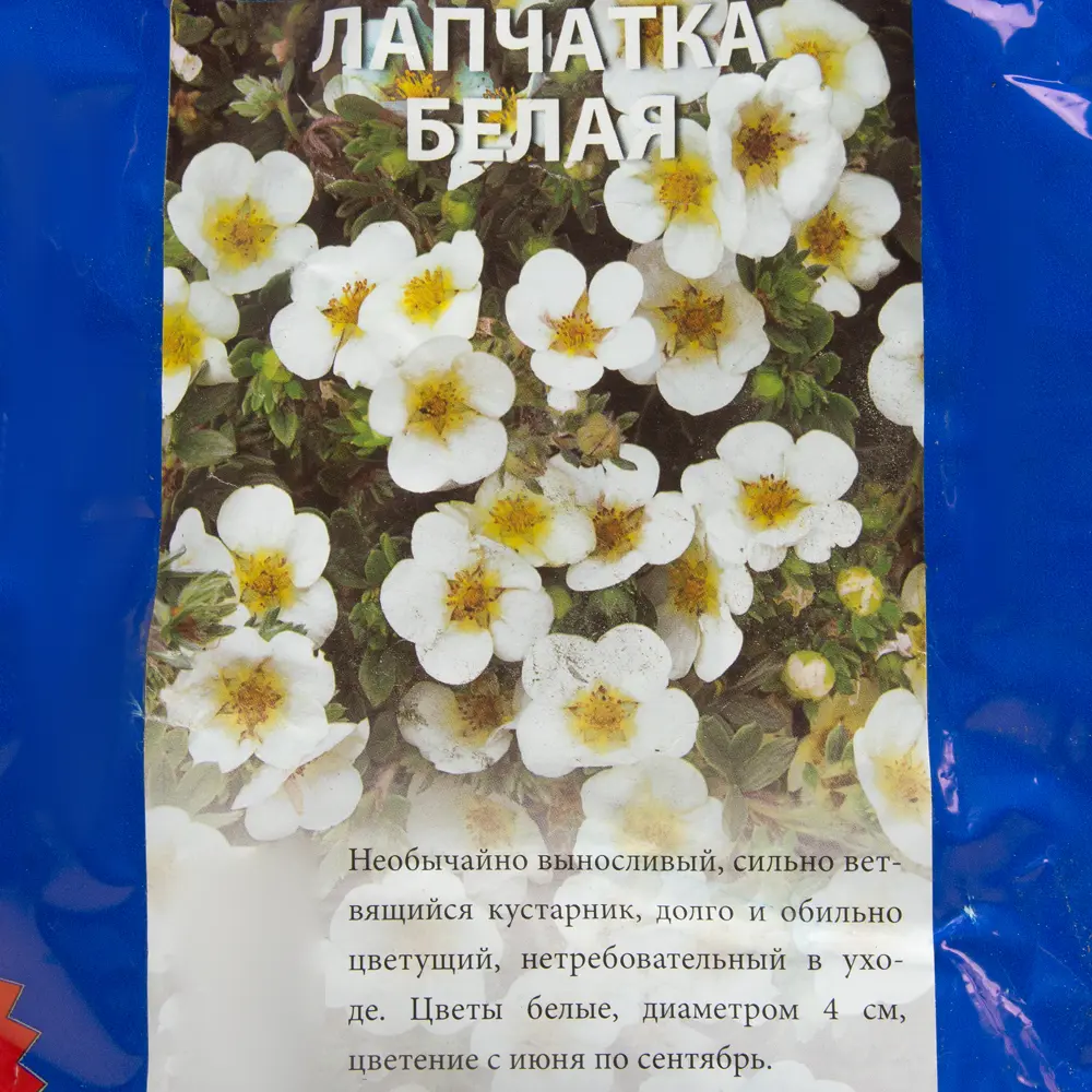 Лапчатка белая (тб 9х9) 13484614 STLM-2008934 Santreyd  - Вид №1