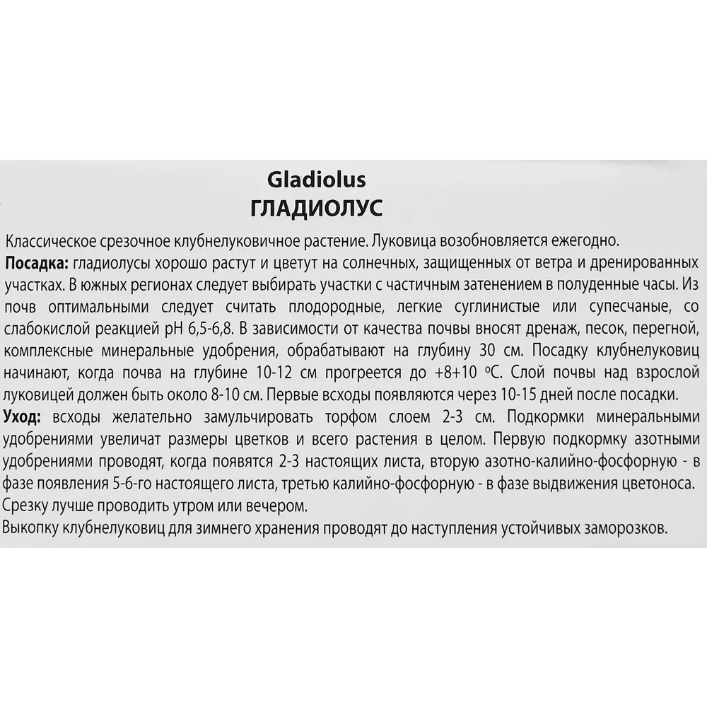 Гладиолус крупноцветковый Вигс Сенсейшн, 3 шт 86410034 STLM-2084300 ПОИСК  - Вид №2
