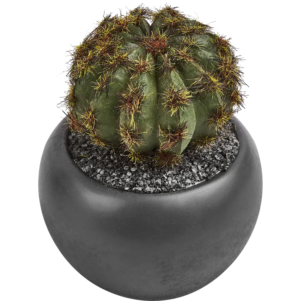 Искусственное растение в пластиковом горшке Atmosphera Кактус D6.3x11.5 см микс STLM-2119665