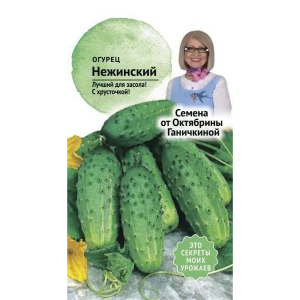 Семена Огурец «Нежинский»