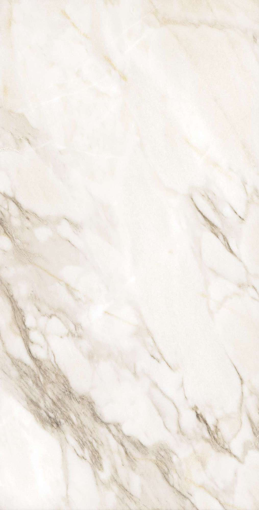 Керамогранит AURORA BEIGE 60х120 Arcadia Ceramica FP1016-A STLM-1576875 89396418  - Вид №15