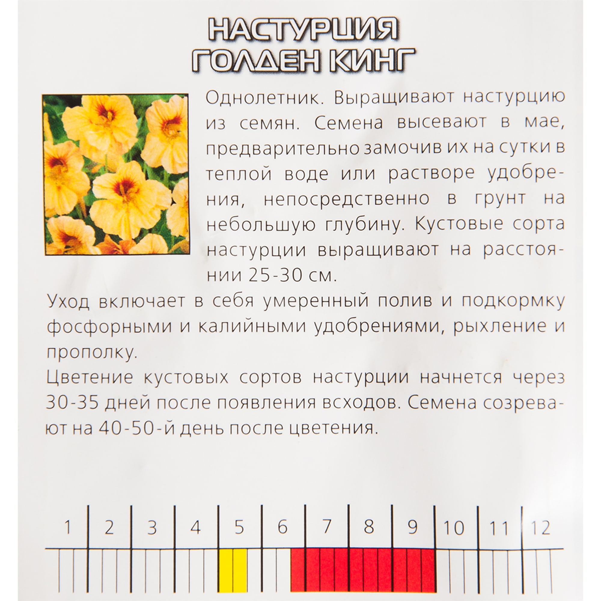 13842389 Настурция «Голден кинг» Santreyd  - Вид №2