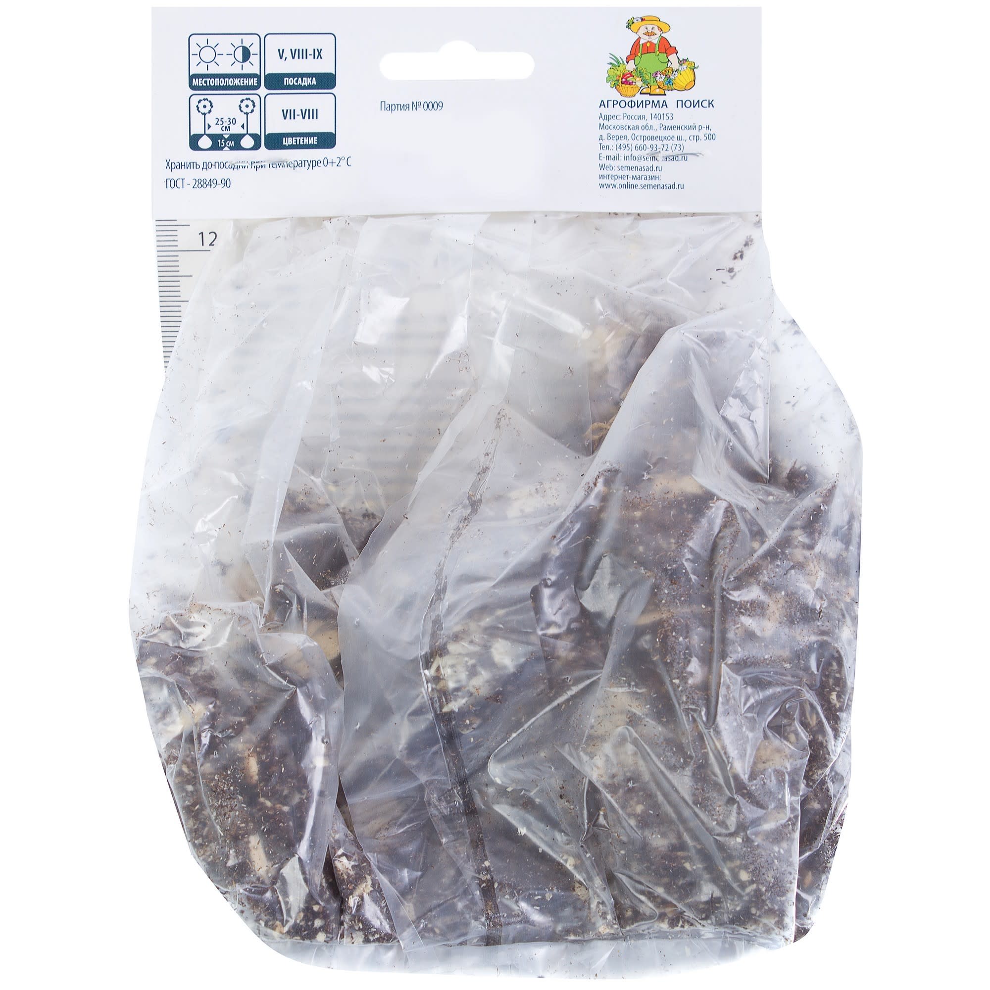 81945446 Лилия азиатская махровая «Аннемарис дрим» Santreyd  - Вид №1