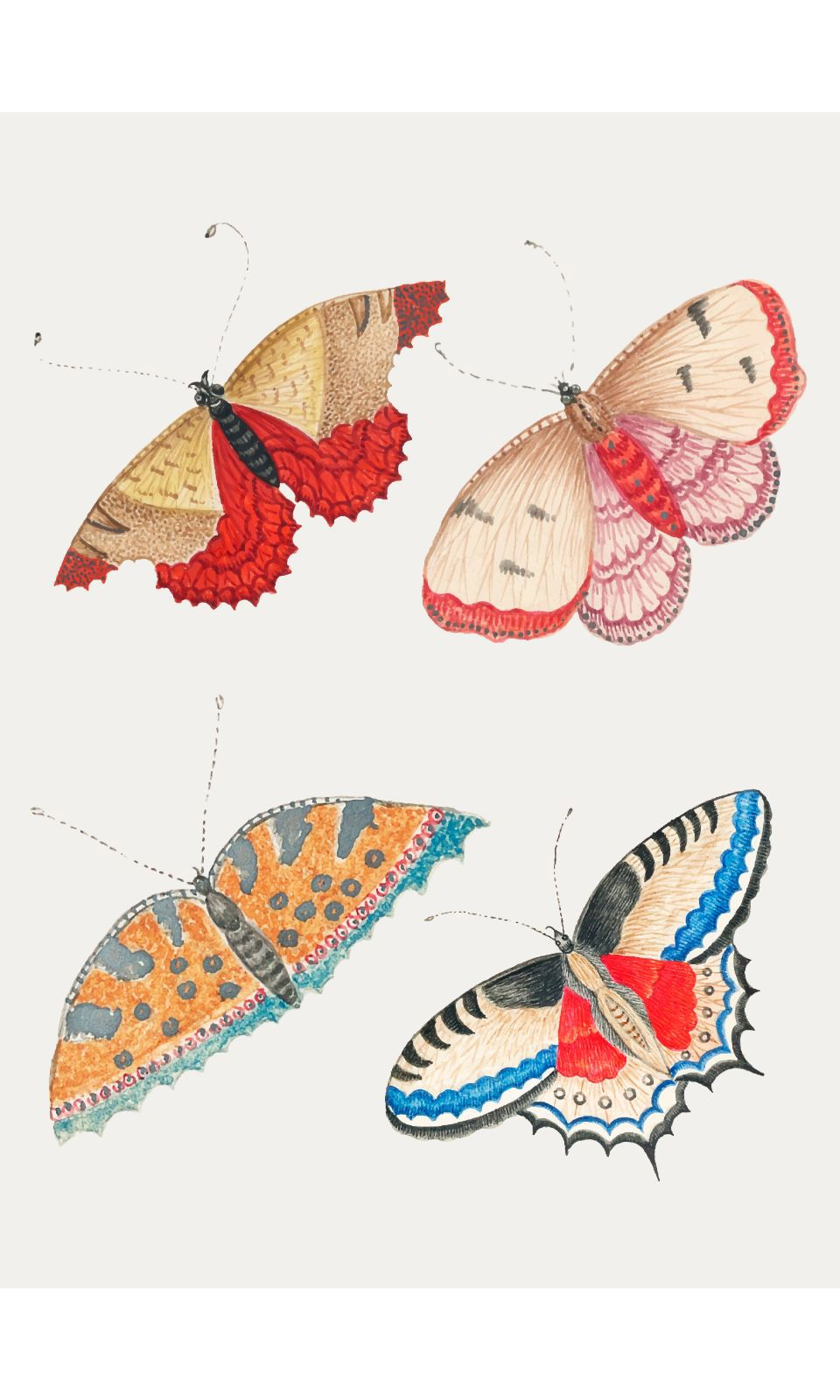 90269065 Постер Бабочки - Нежные бабочки 50x70 см в раме STLM-0158848 ПРОСТОПОСТЕР