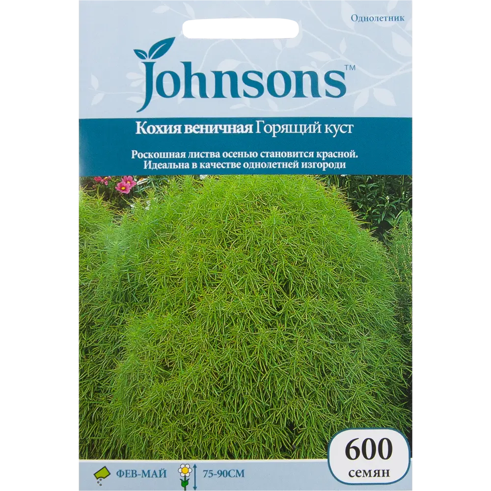 Кохия веничная Горящий куст JOHNSONS STLM-2205324