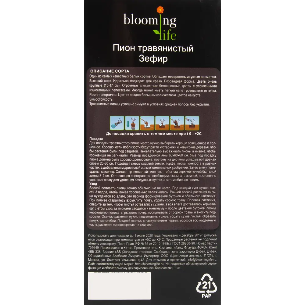 Пион травянистый Зефир в тубе BLOOMING LIFE STLM-2100295 - Вид №3