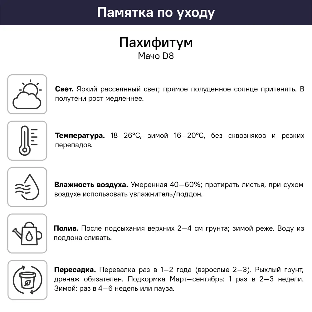 Пахифитум Мачо ø8 h2 см 89447767 STLM-2207873 Santreyd  - Вид №4