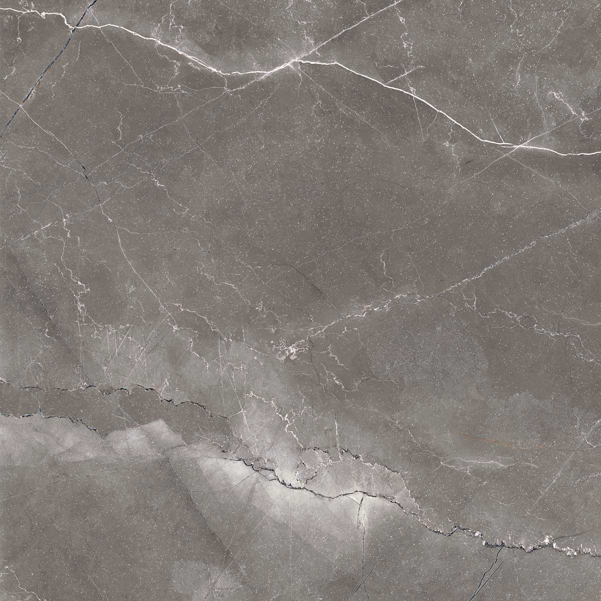 Керамогранит PULPIS NERO 60х60 Arcadia Ceramica FP1014-A STLM-2172557 84855266 - Вид №6