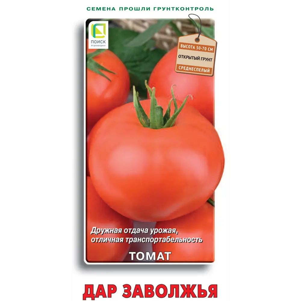 Семена томата Дар Заволжья - урожайные помидоры для любого региона 89401156 ПОИСК STLM-1567621