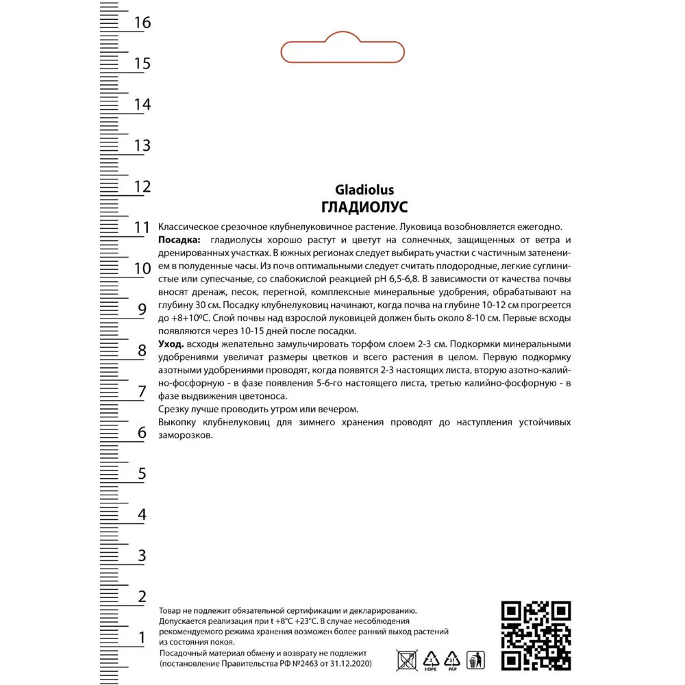 Гладиолус крупноцветковый Нова 3 шт. 89408090 STLM-2064140 ПОИСК  - Вид №2