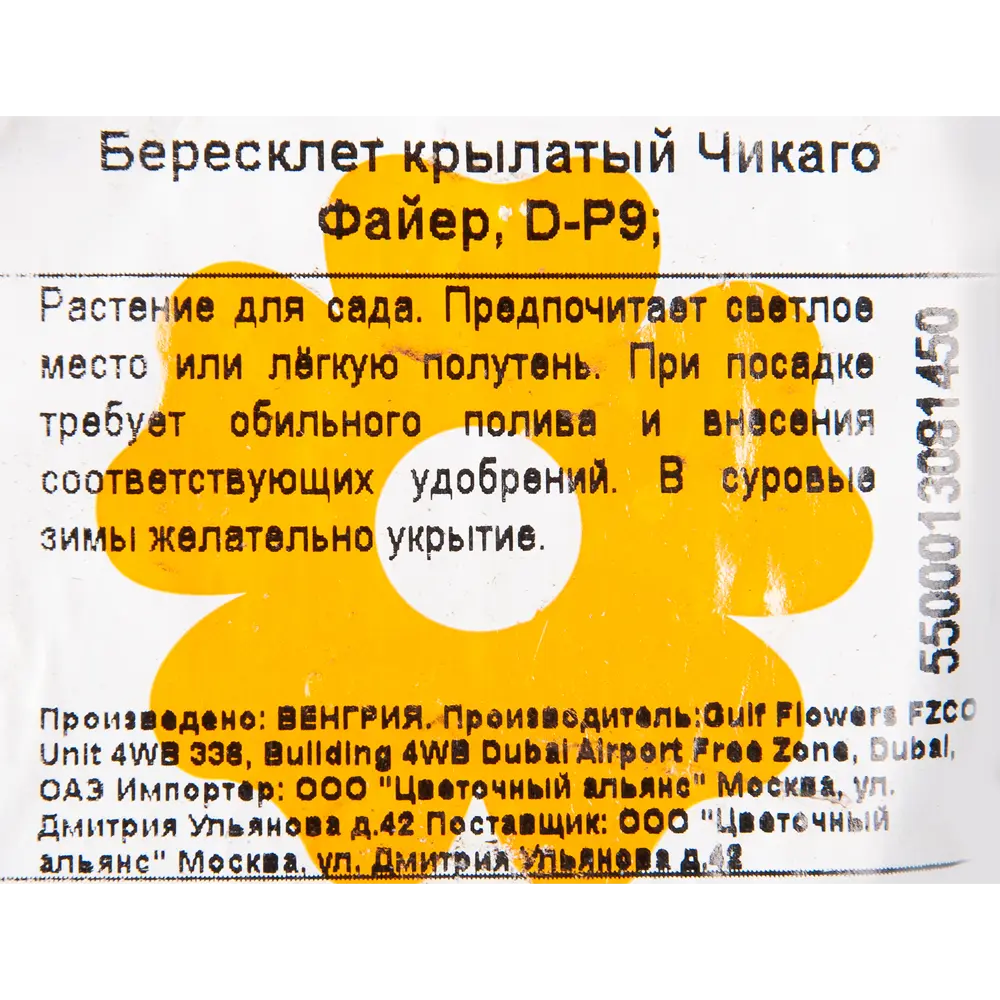 Бересклет крылатый Чикаго Файе, P9 15711665 STLM-2074467 Santreyd  - Вид №2